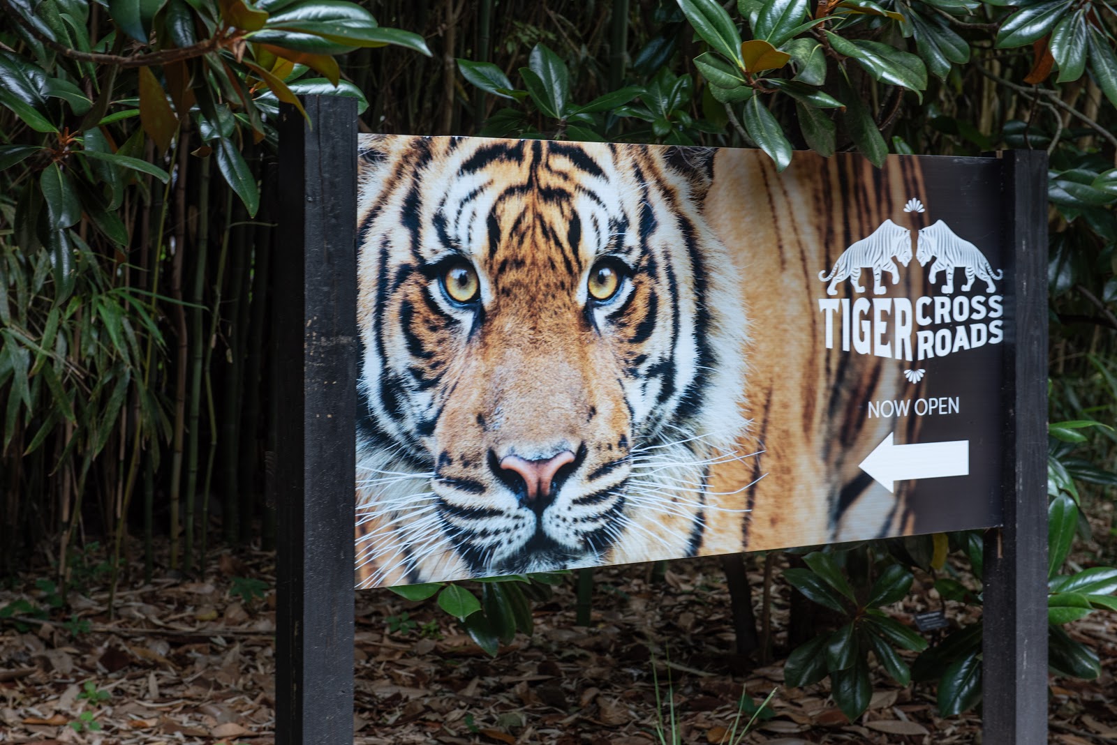 zoo-product image 1